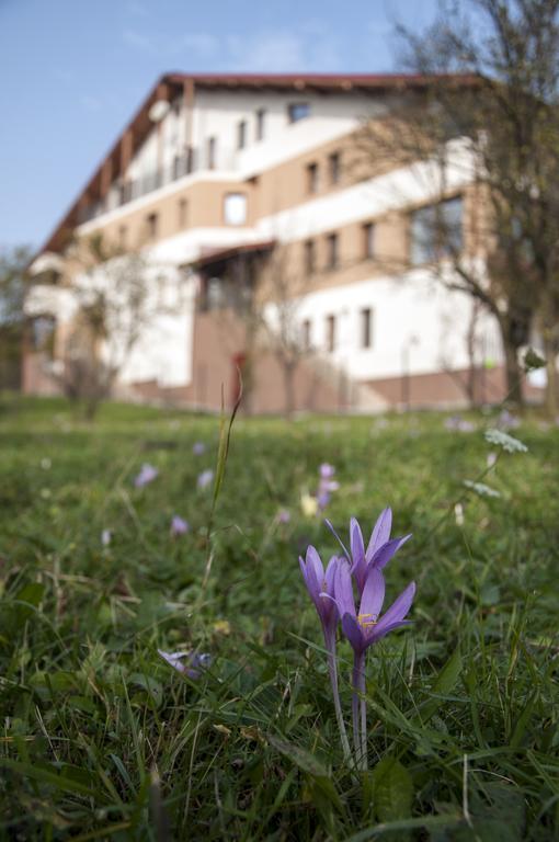 Pensiunea Muntele Verde Slanic Exterior photo